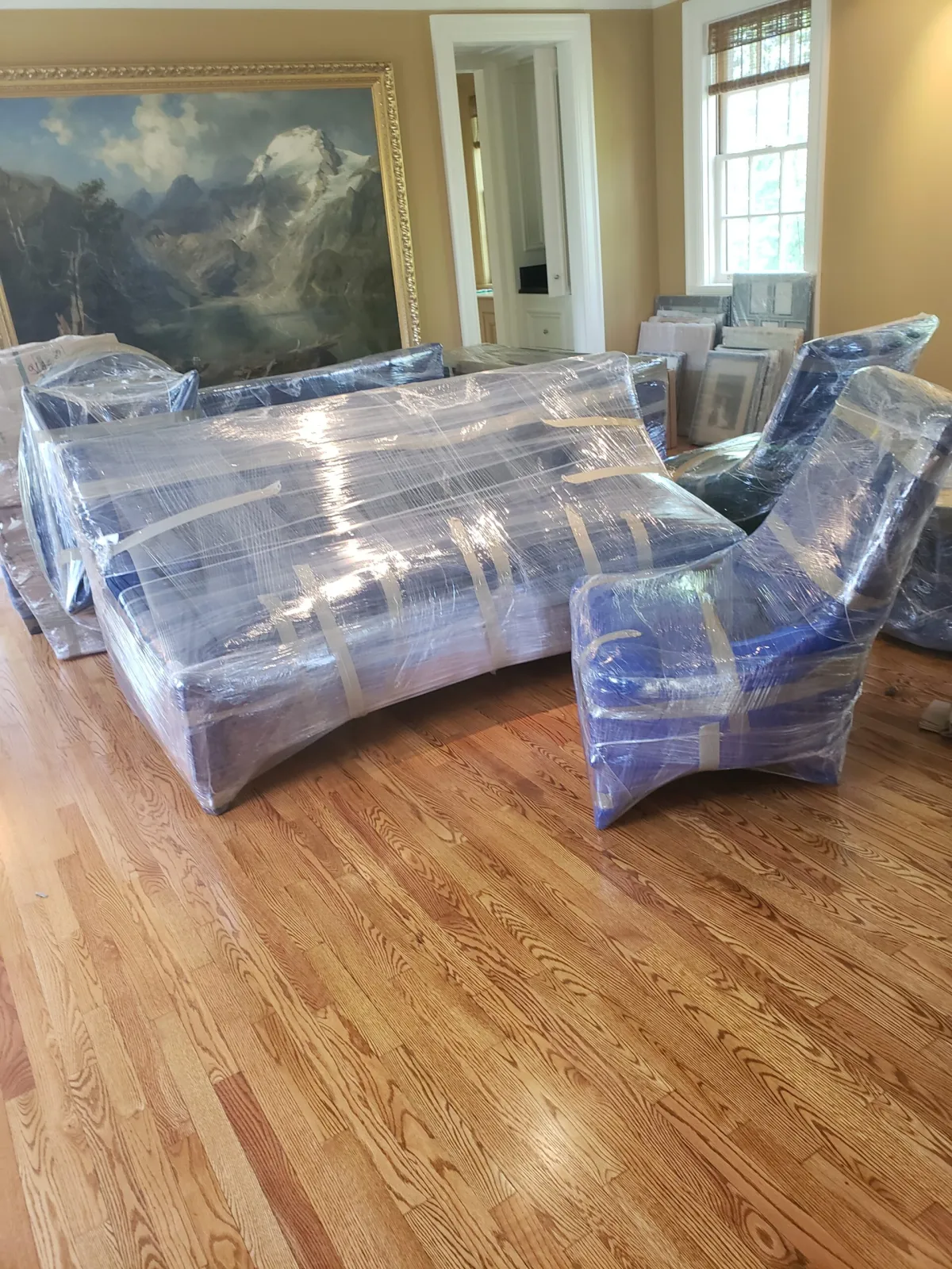 Sofa and furniture moving